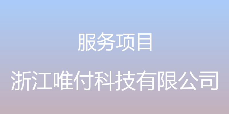 服务项目 - 浙江唯付科技有限公司