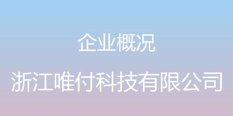 企业概况 - 浙江唯付科技有限公司