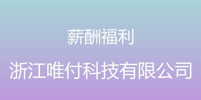 薪酬福利 - 浙江唯付科技有限公司